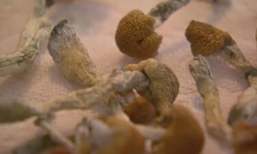 The State of Colorado is continuing to license businesses that will provide psilocybin therapy.