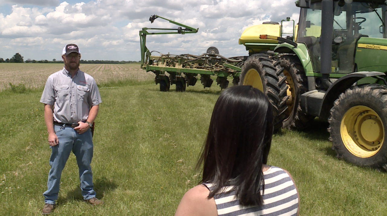 <i>Dale Messing/KSHB via CNN Newsource</i><br/>International tariffs are especially hurting soybean farmers like Beeman.
