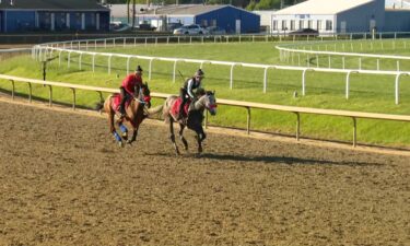 Horseracing is no doubt an industry dominated by men but thanks to two women
