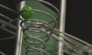 Jeff Zachmann and his son Carl are kinetic sculptors