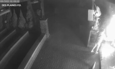 A woman charged with intentionally setting a fire at the Shrine of Our Lady of Guadalupe has pleaded guilty.