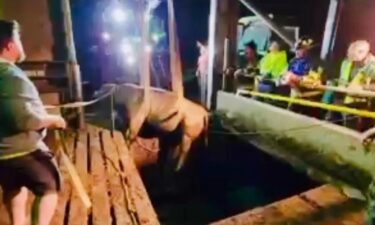 Firefighters were dispatched to help a bull that had fallen into a manure pit inside a barn.