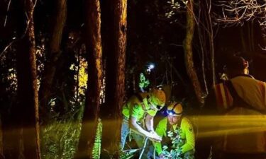 A male visitor was rescued at the Hawaii Volcanoes National Park on Wednesday night after falling off of a steep cliff.