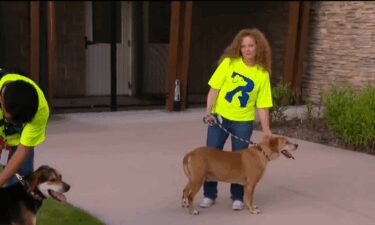 An 8-year-old animal welfare advocate served up refreshing lemonade on June 8 to raise awareness and help dogs at the Garland Animal Shelter.