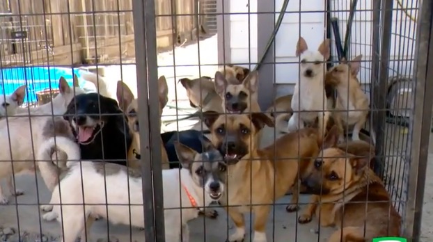 <i>KCRA via CNN Newsource</i><br/>Alex Appleby