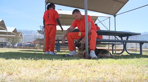 <i>KGUN via CNN Newsource</i><br/>Fort Grant is the first state prison to partner with Soldiers Best Friend