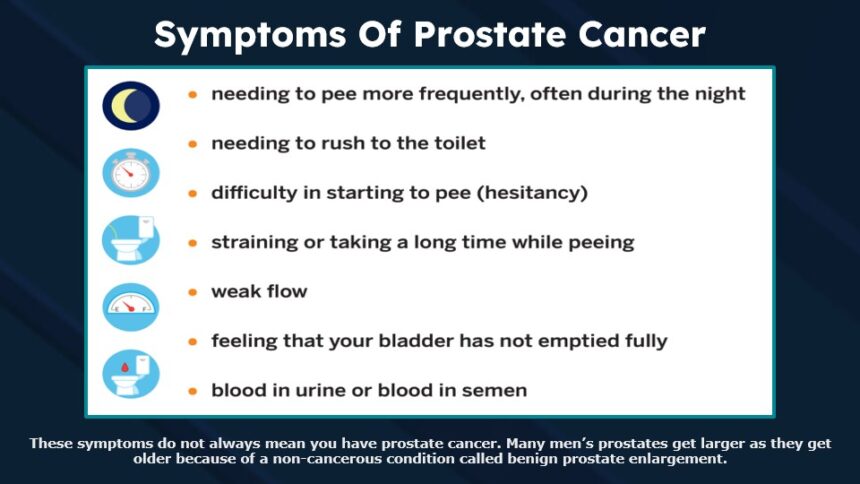 Slide6