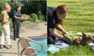 A Bloomfield Township Animal Control officer is being credited with saving a young fawn that was drowning under a pool cover early Sunday morning.