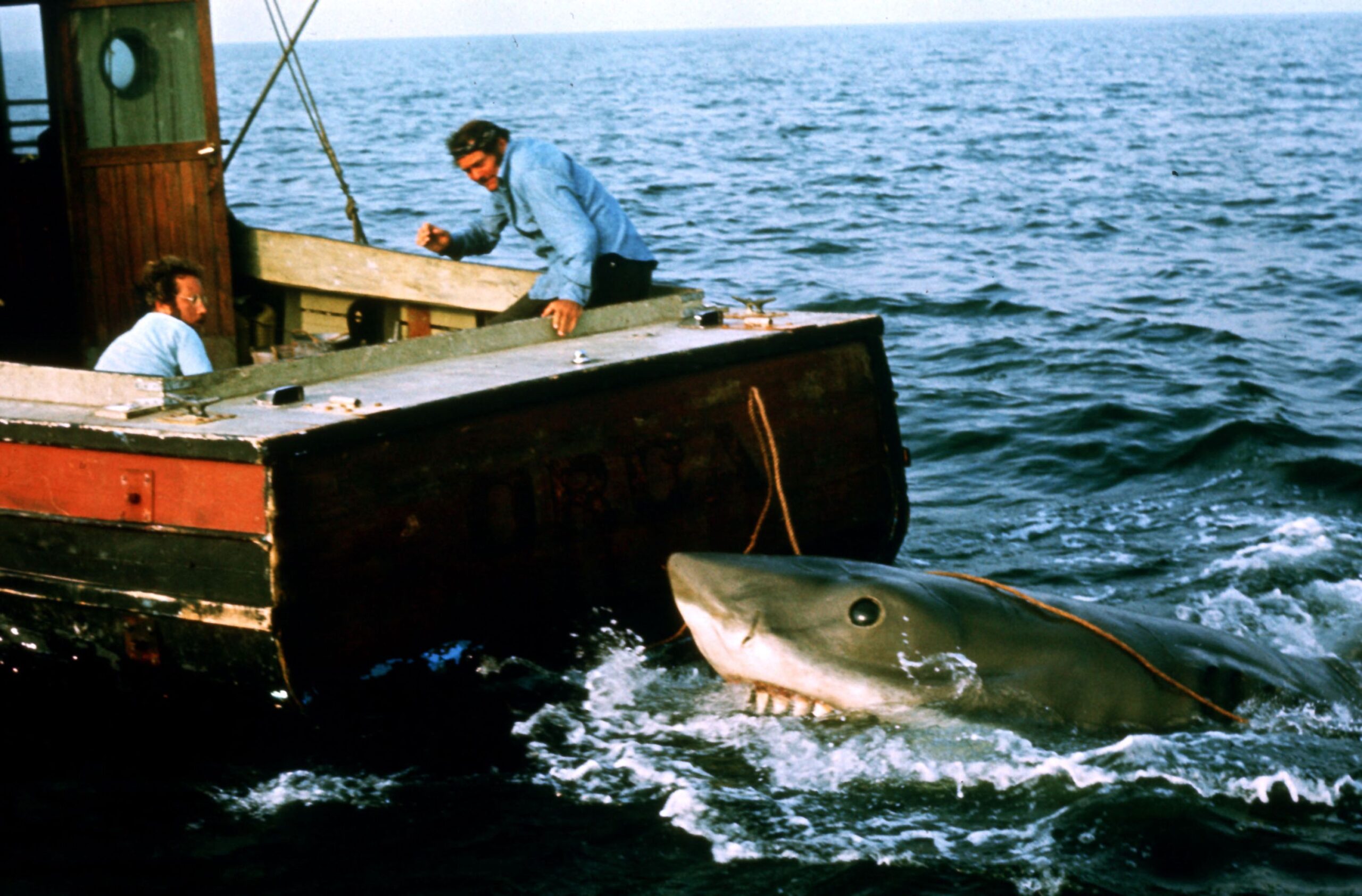 <i>Auscape/Universal Images Group Editorial/Getty Images via CNN Newsource</i><br/>A great white shark swims through a school of Tommy roughs in South Australia
