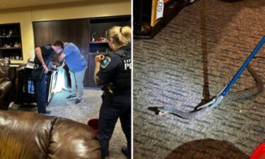 The Little Elm Police Department had to step in and rescue the Little Elm Fire Department after an unwelcome visitor greeted them.