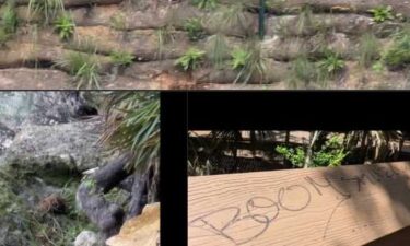 Within two weeks of reopening