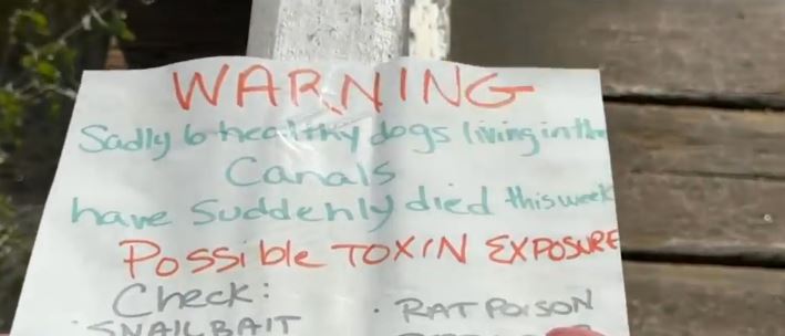 <i>KABC via CNN Newsource</i><br/>An unknown illness has made several dogs seriously sick