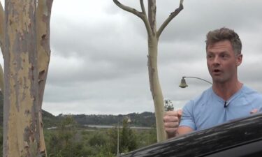 Dustin Laemmlen was driving in the right lane of La Costa Ave. Thursday afternoon
