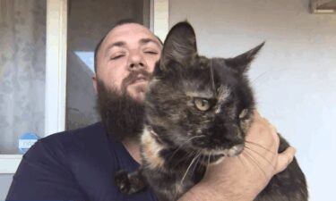 A Rancho Cordova resident says his cat was pepper-sprayed by the neighborhood postman.