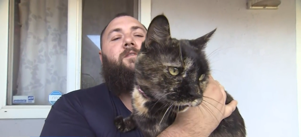 <i>KOVR via CNN Newsource</i><br/>A Rancho Cordova resident says his cat was pepper-sprayed by the neighborhood postman.