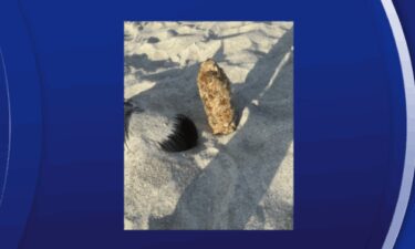 Hillsborough County Sheriff's Office Bomb Squad and the MacDill Air Force Base Explosive Ordnance Disposal (EOD) team both responded to Indian Rocks Beach after a possible explosive device resembling WWI artillery shell was found