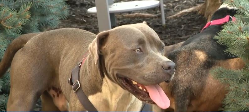 <i>WTAE via CNN Newsource</i><br/>