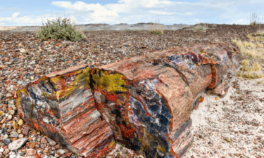 Closest national parks to El Paso