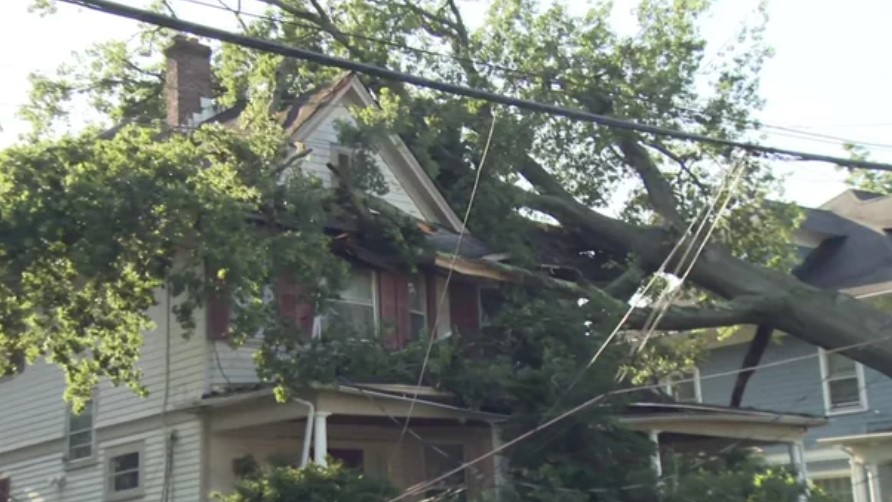 <i>WCBS/WLNY via CNN Newsource</i><br/>