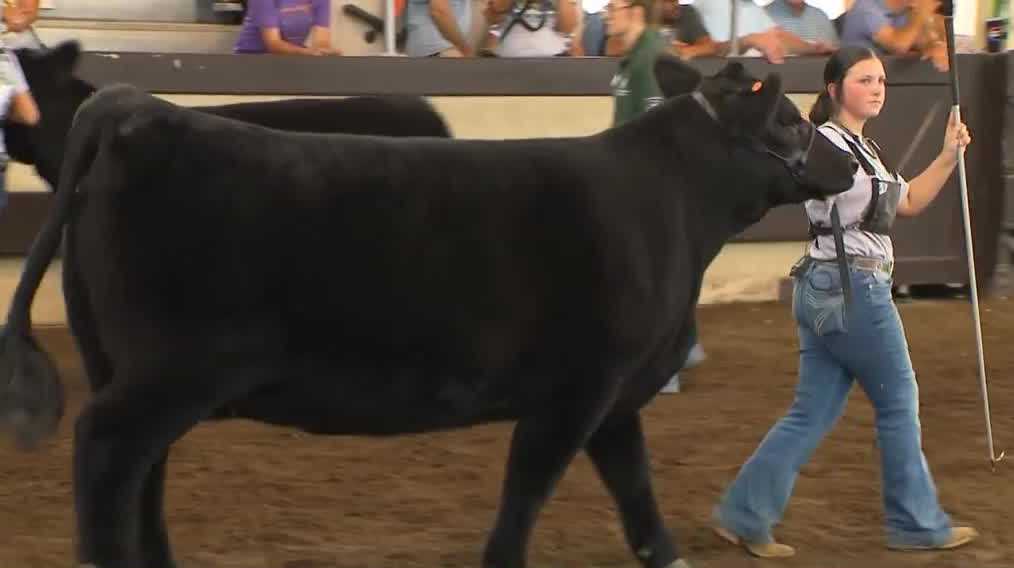 <i>KCCI via CNN Newsource</i><br/>For many