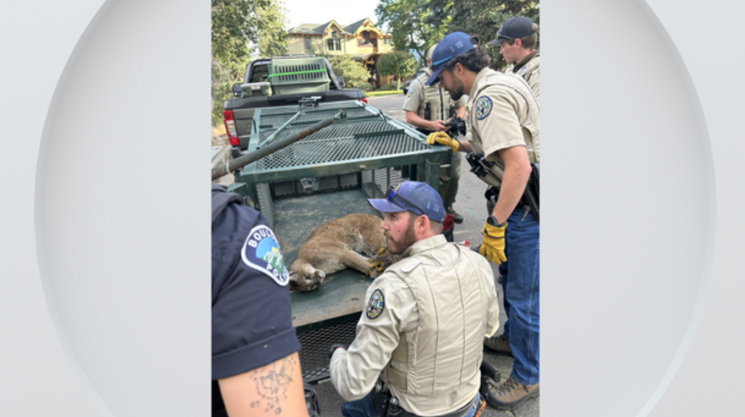 <i>KCNC/Boulder Police via CNN Newsource</i><br/>