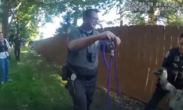 RTD shared this body camera video of officers trying to capture an emu that got loose in Lakewood on August 18.
