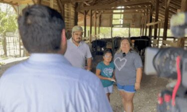 Isabella Castro (right) is heartbroken over the recent theft of her cattle.