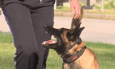 Mary Pearson is a retired police sergeant who's found a new friend in Jax