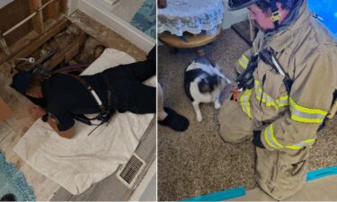 Dog is rescued by crews with Hurricane Valley Fire and Rescue on Thursday