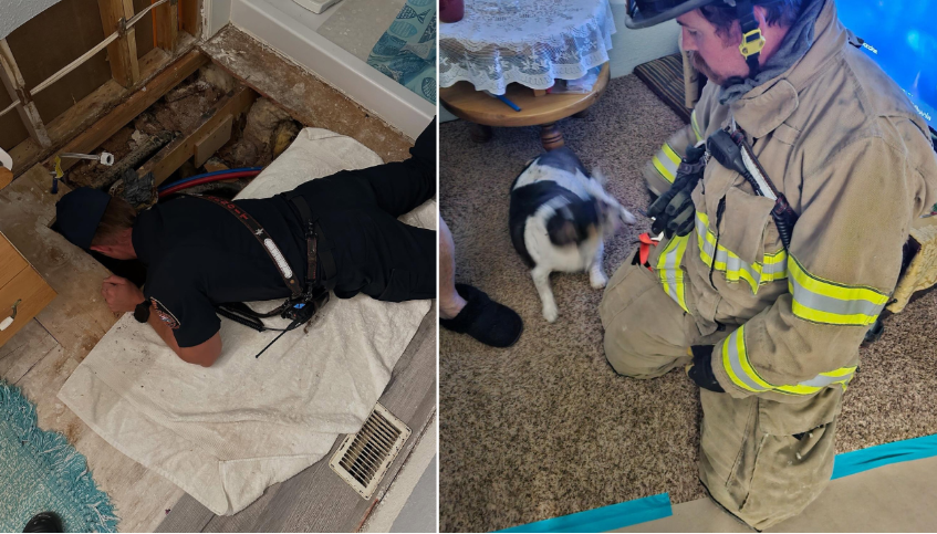 <i>Hurricane Valley Fire and Rescue/KSTU via CNN Newsource</i><br/>Dog is rescued by crews with Hurricane Valley Fire and Rescue on Thursday