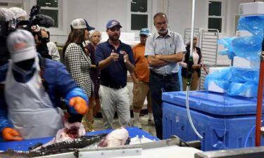 The USDA launched a one-year pilot program to purchase up to $2 million of Chesapeake Bay blue catfish. The effort will support regional processors and provide nutritious protein to families through food banks and other food distributors.