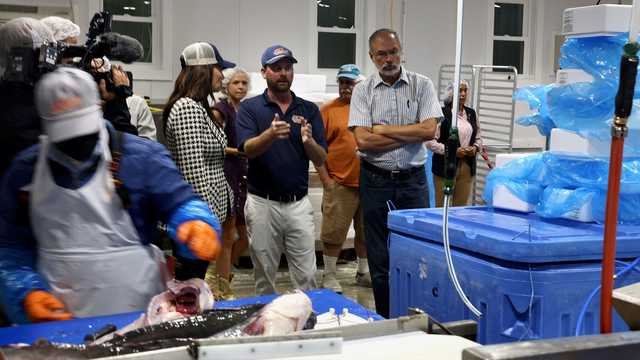 <i>WBBH via CNN Newsource</i><br/>The USDA launched a one-year pilot program to purchase up to $2 million of Chesapeake Bay blue catfish. The effort will support regional processors and provide nutritious protein to families through food banks and other food distributors.