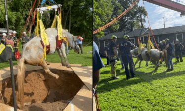 Baltimore County firefighters were joined by the Howard County Department of Fire and Rescue Services' Special Operations team to rescue a horse that was trapped after falling into a pit.