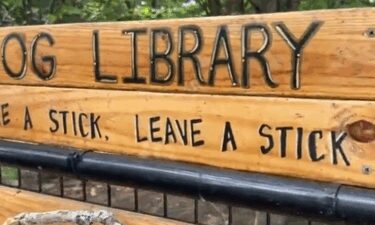 The "Take a stick