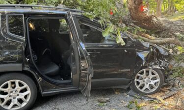 A car was crushed by a tree on Bedford Road in Lincoln