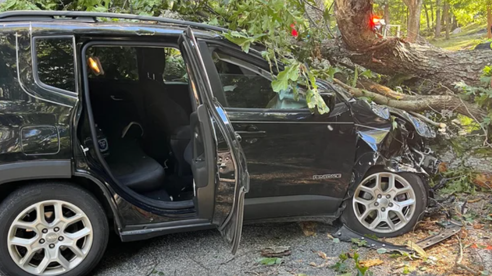 <i>WBZ/Lincoln Police via CNN Newsource</i><br/>A car was crushed by a tree on Bedford Road in Lincoln