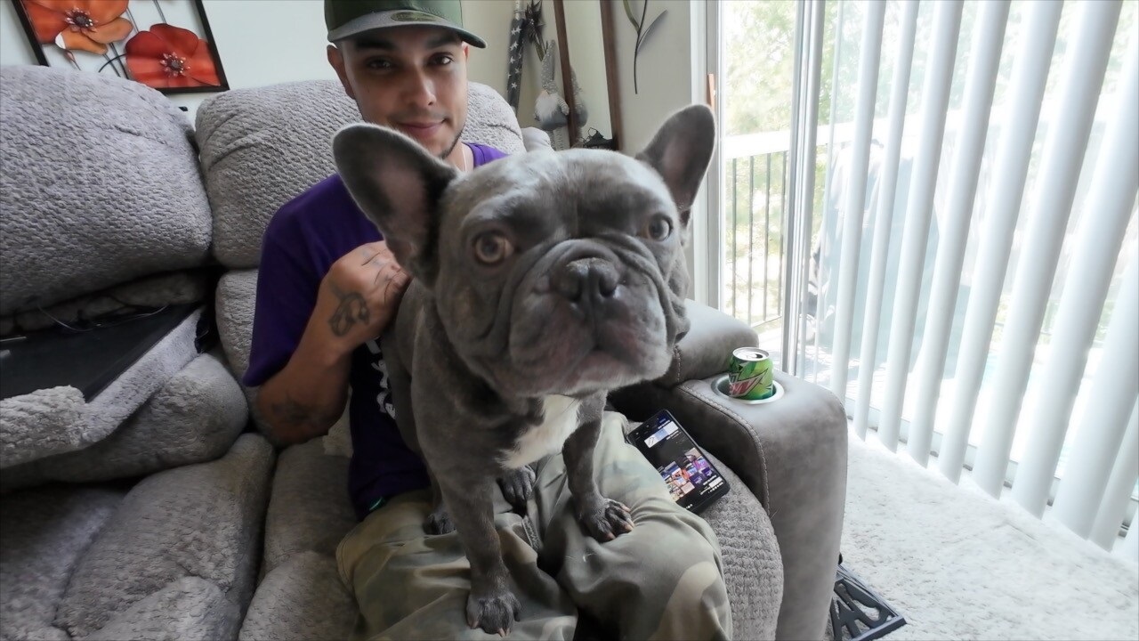 <i>WCPO via CNN Newsource</i><br/>James Lamb is reunited with dog after someone stole his car — with his pet and wife's ashes inside.