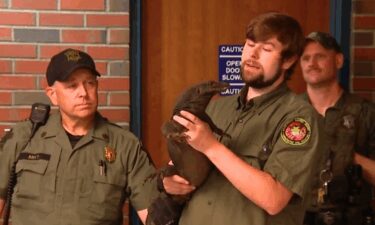 A 5-foot-long water monitor lizard named Goose that escaped from his home in Webster
