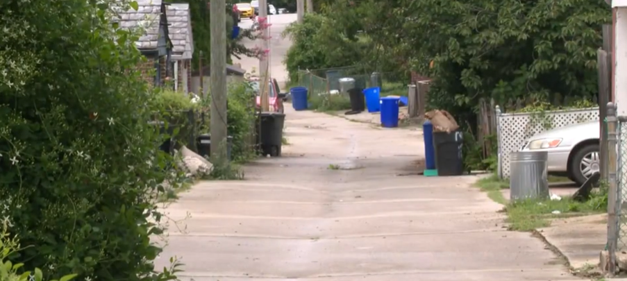 <i>WJZ via CNN Newsource</i><br/>Longtime resident Matt Gaylor said every night the rats come out in droves.