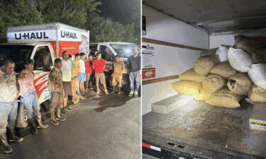 Eleven people are in custody after the Martin County Sheriff's Office said a "group of traveling thieves" was caught trying to cash in on thousands of pounds of illegally harvested saw palmetto berries.