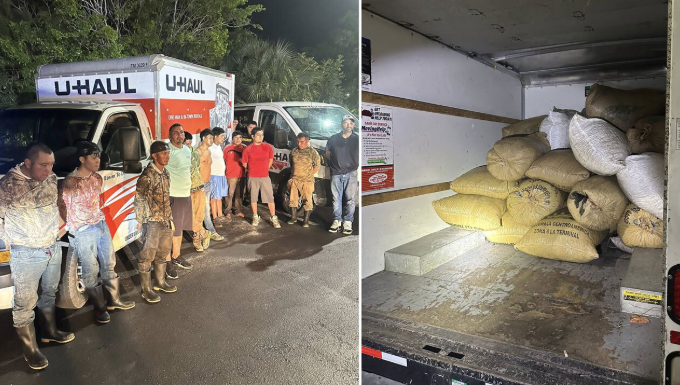 <i>WPTV/Martin County Sheriff's Office via CNN Newsource</i><br/>Eleven people are in custody after the Martin County Sheriff's Office said a "group of traveling thieves" was caught trying to cash in on thousands of pounds of illegally harvested saw palmetto berries.
