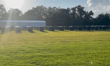 More than 200 birds have been seized by Virginia Beach police connected to what they say is a suspected cockfighting ring