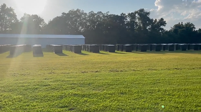 <i>WTKR via CNN Newsource</i><br/>More than 200 birds have been seized by Virginia Beach police connected to what they say is a suspected cockfighting ring