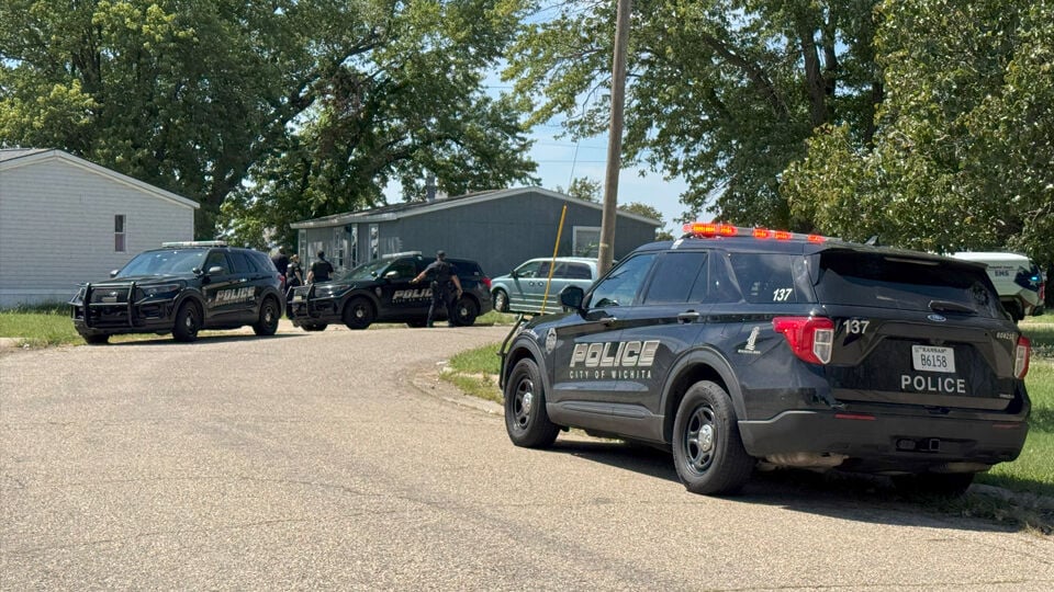 <i>KAKE via CNN Newsource</i><br/>A 29-year-old man has been arrested for attempted murder after police say he stabbed his wheelchair-bound sister multiple times at an east Wichita mobile home park on Tuesday.