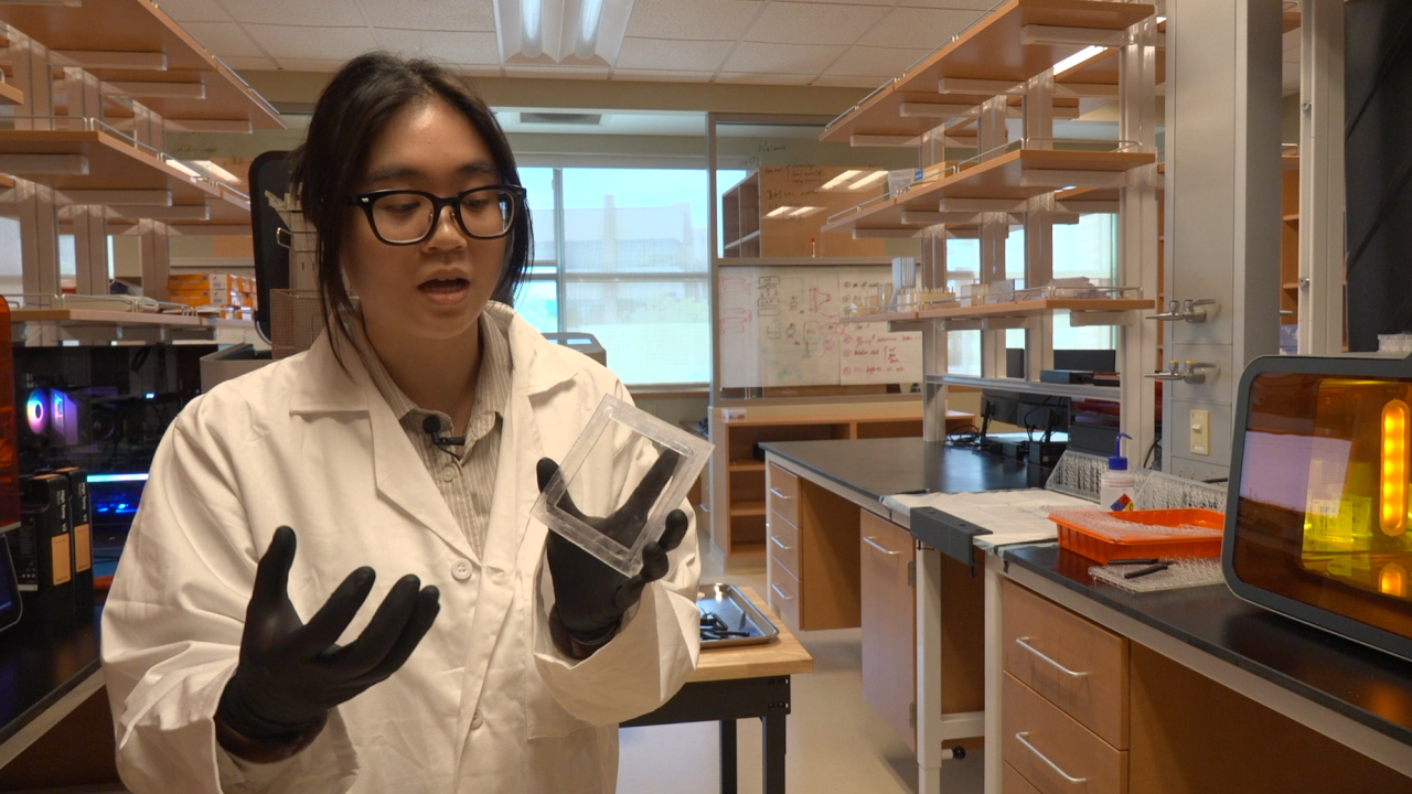 <i>KTNV via CNN Newsource</i><br/>WAVR technician Emilie Luong shows off hydrogel membrane.