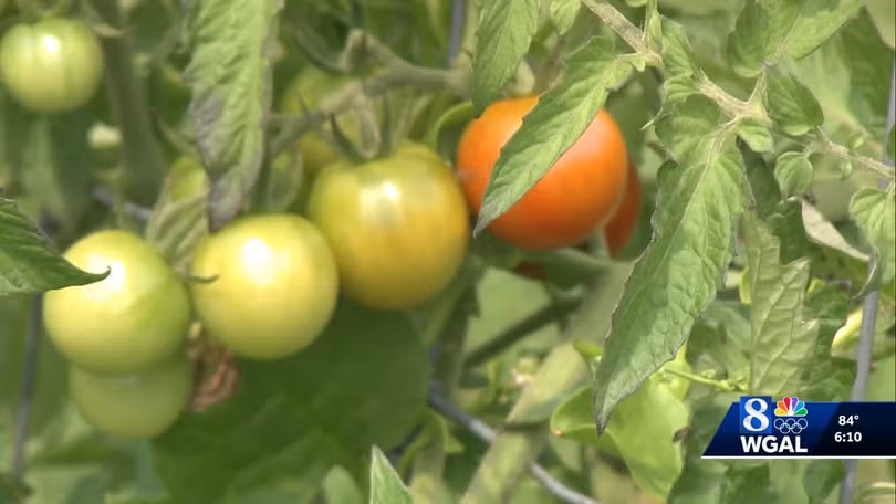 <i>WGAL via CNN Newsource</i><br/>Reverend Doctor Matthew Lenahan saw a need for fresh