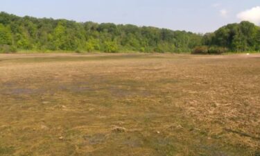 Officials are working to restore a lake northeast of the Twin Cities after a "mechanical issue" caused nearly all the water to drain.