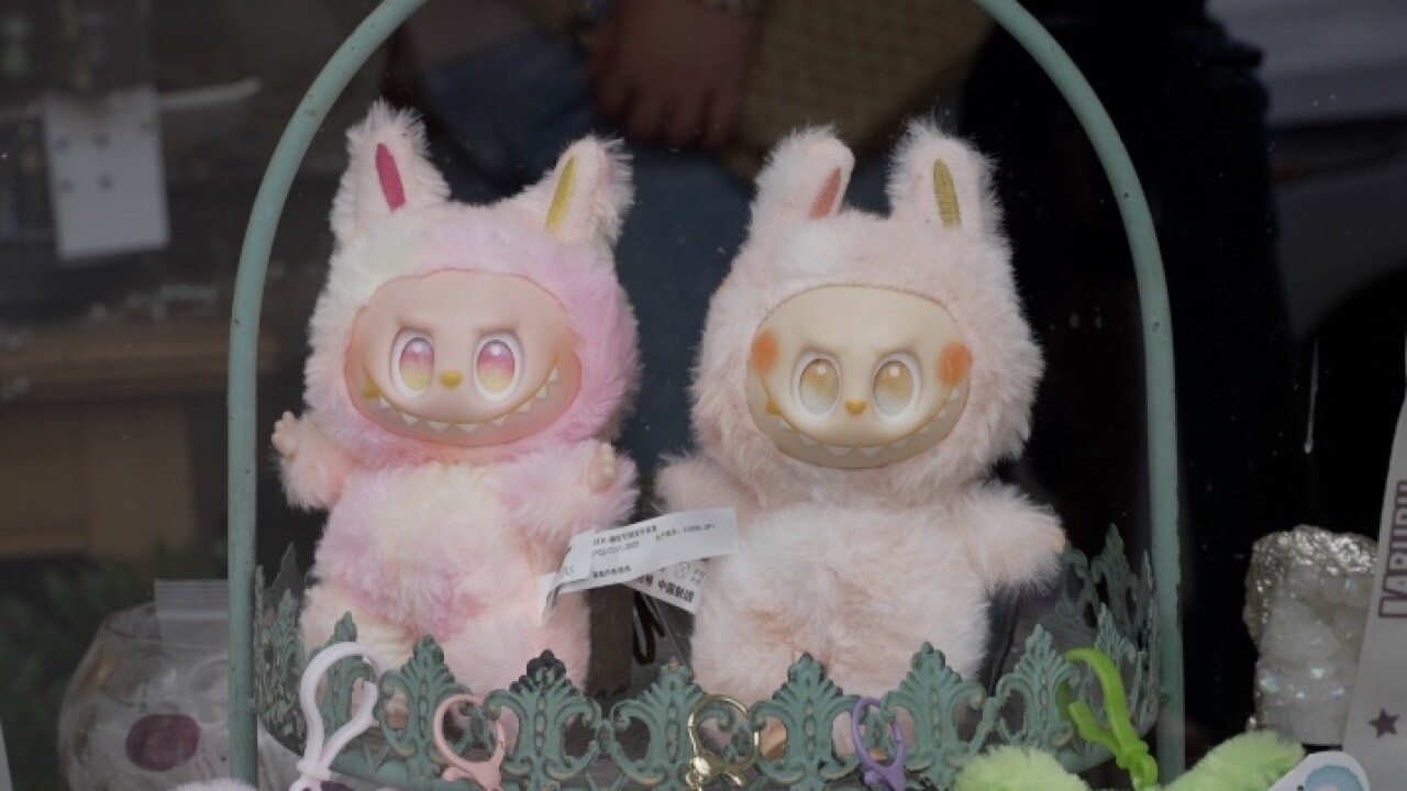 <i>Hanna Lopez/WGBA via CNN Newsource</i><br/>An Algoma apothecary is selling Lafufu dolls which bear a resemblance to the hot-ticket item.