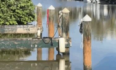 A  911 call reveals the frantic moments after an 8-year-old boy was attacked by a shark off Key Largo on September 1.