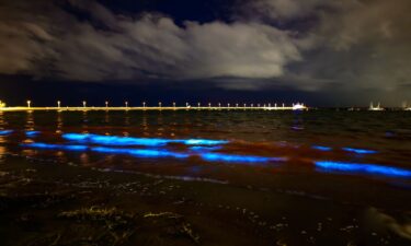 Bioluminescent algae at St. Kilda Beach in Melbourne